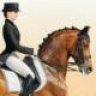 Dressage